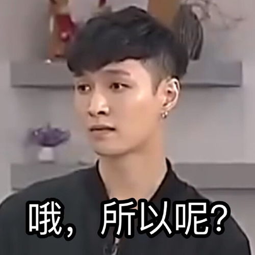 无限挑战exo张艺兴lay表情包