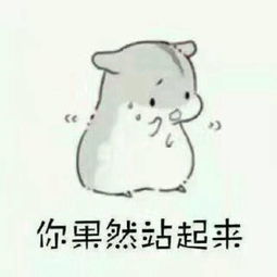 酥716照片酥716相册大全yy官方