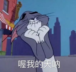 紧张的结婚前夜,这些话想跟你们说