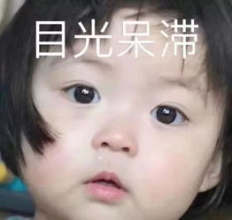 今日气温有望登顶不过...冷空气将至