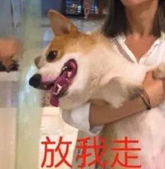 每日沙雕表情包饭马上就煮好了