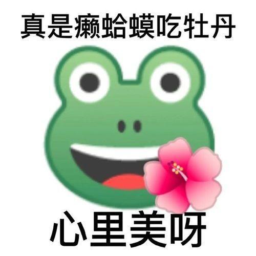 歇后语表情包真是王八买西瓜