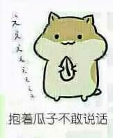 表情与斗图73仓鼠掉瓜子表情包