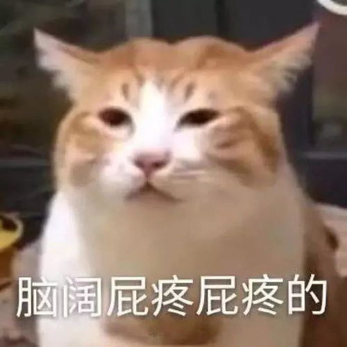 有一说一心之所向,素履以往手账vlog篇