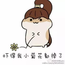 虚假头条何时了人云亦云的云是谁