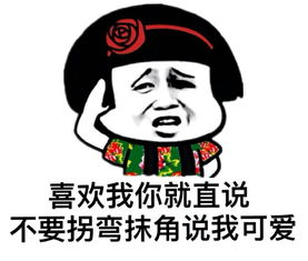 意境美图同人动物键盘壁纸大海搞笑g堆糖,美好生活研究所