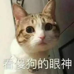 舞蹈生看到这些表情包都哭了......