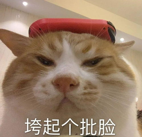 8场全输0胜率篮网你硬一点行不行