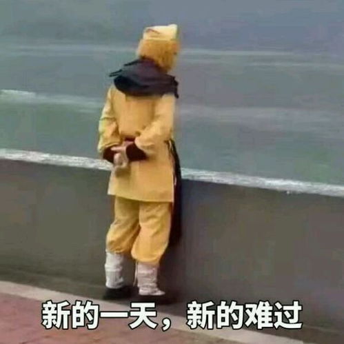 俺老孙西天取经都没受过这种罪