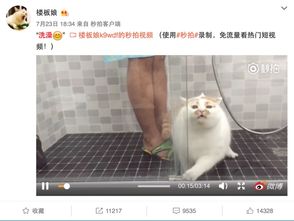 你连表情包里猫的名字都不知道,还敢说爱猫