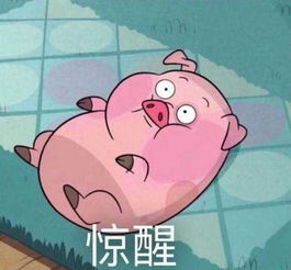还在双十一盖楼拿红包不如来东莞观音山脱单告别光棍节