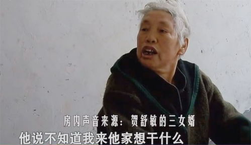 回顾8旬老太住鸡窝,跪求8个女儿给她养老,女儿谁叫你不生儿子