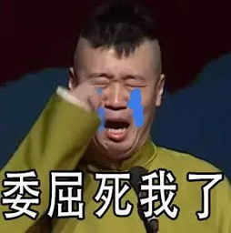 每日表情丨德云社表情包