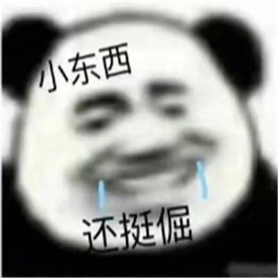 那些很有意思的熊猫头表情包
