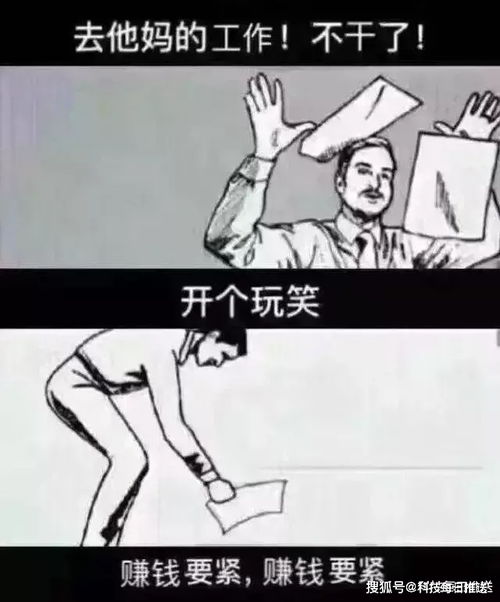 我们买了这5个小玩意儿,感觉幸福了