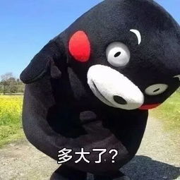 缱绻照片缱绻相册大全yy官方