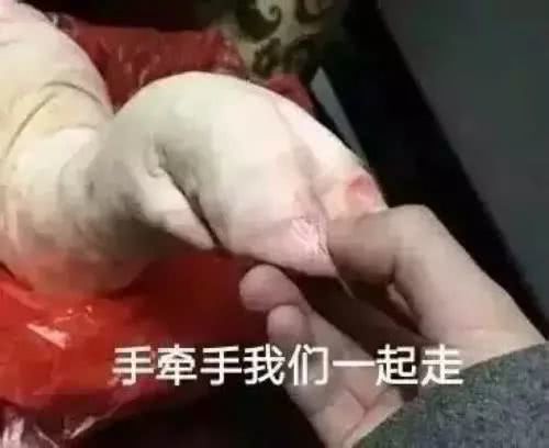 生活有一千种方法搞死社畜,我用37张表情包平息你的愤怒