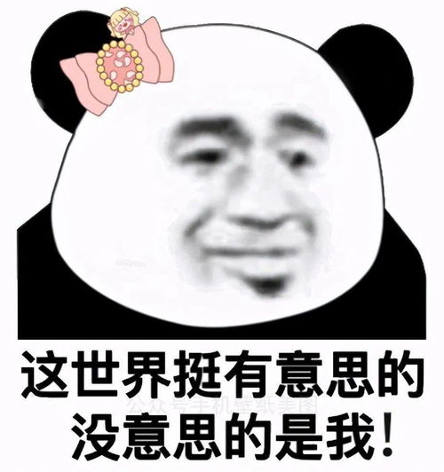表情包图片大全嫌对象回消息慢