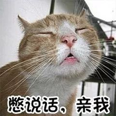 我不要你觉得,我要我觉得