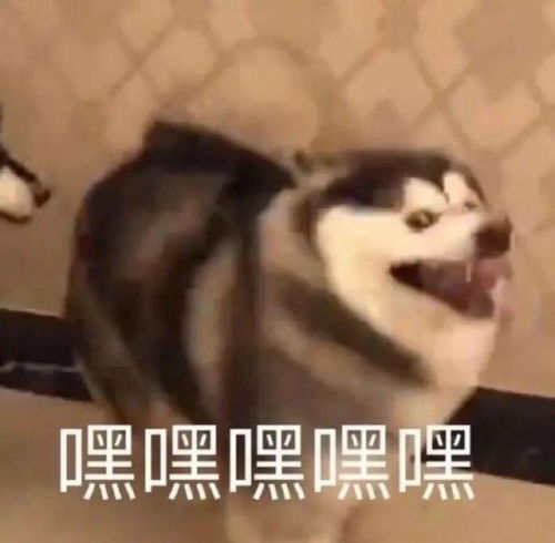 点击收获小律为你带来的期末复习测评
