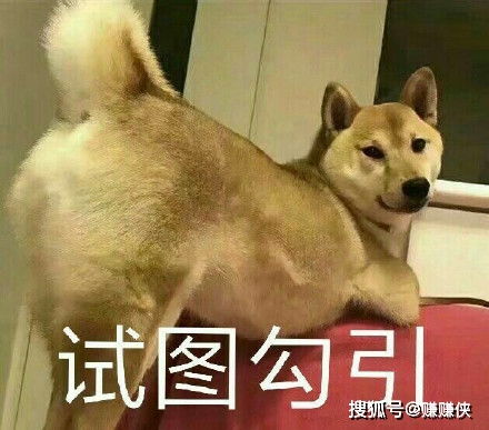 勾引表情包图片努力憋笑