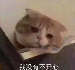 庆余年今晚开播卡司阵容太强了王思聪公司翻拍为了n这次编剧能做个人么