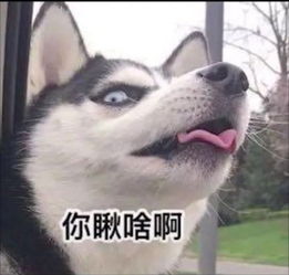 梦见爸爸给人砍死自己把对方砍伤后自首是什么意思