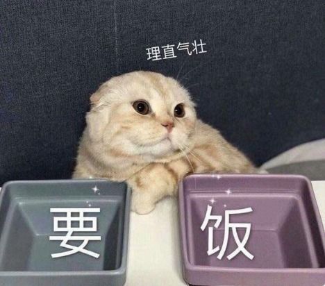 幽默笑话老师要求写一篇作文
