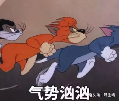 京圈真公主白云和前夫分道扬镳