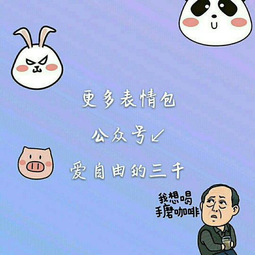 一个分享表情包的公众号
