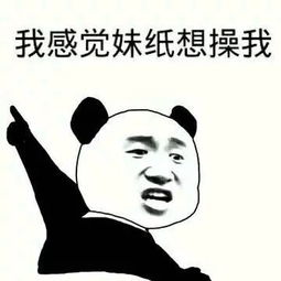 堆糖,美好生活研究所