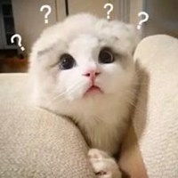 恶龙咆哮喵喵喵表情包微信头像图片大全