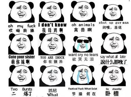 最全独家三套给你一百猴头图,春节装逼够不够