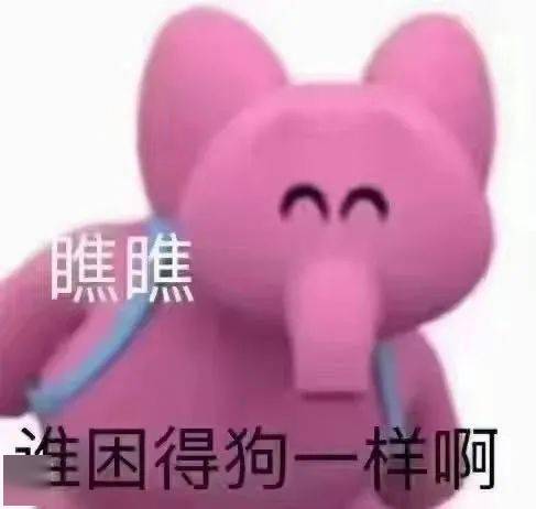 看一眼就能记住的店名
