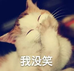 主题党日和大佬们的午餐时间