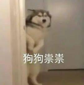 音乐人单身,除了长得丑,还有什么原因