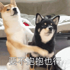 坏坏的撩妹表情包今天你那里吹风了吗风有告诉你我喜欢你吗
