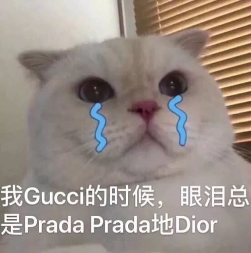 表情包丨我发誓再也不熬夜了