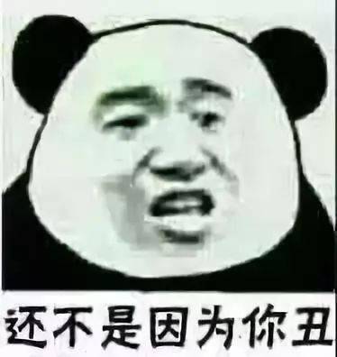 熊猫头表情包i老子一粪瓢扣死你