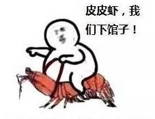 真心疼皮皮虾,被吃掉就算了,还要跨界成为表情包