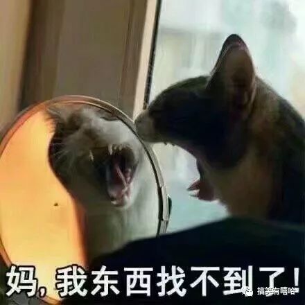 放假了,万万没想到,原来在家的你是这么逗