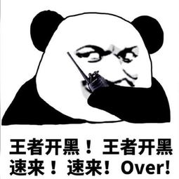 王者迪布的美拍