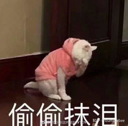 有没有专门和男孩子聊天的表情