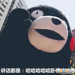 告诉你为什么找到不男朋友的原因表情包什么样的女生一看就没谈过恋爱表情包下载乐游网游戏下载