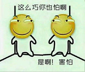 好可怕上铺的上铺有什么