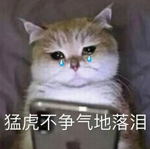 表情包猛虎不争气地落泪