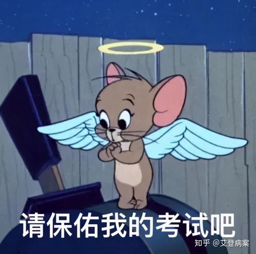 编码员mrs培训初级考试已完成,这些事情你应该知道