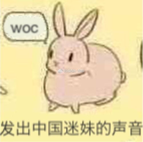管理员听见无人的墓地里传来呜咽声,真相竟是