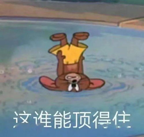 别再买大肠发圈鲨鱼夹了现在流行这3款配饰,美到炸裂
