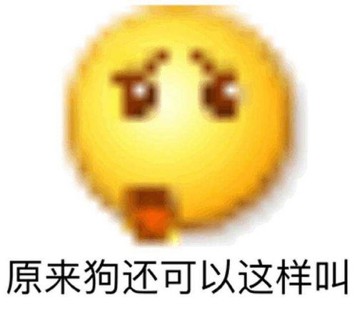 我在哪儿表情包阴阳怪气